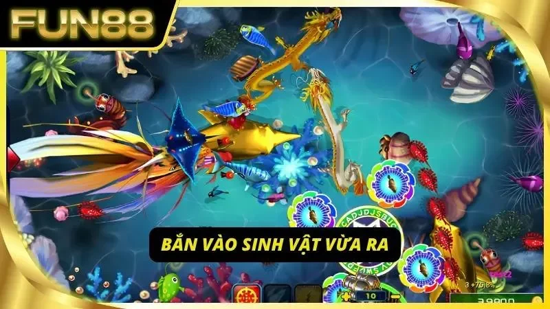 Canh thời gian xuất hiện và khai hỏa
