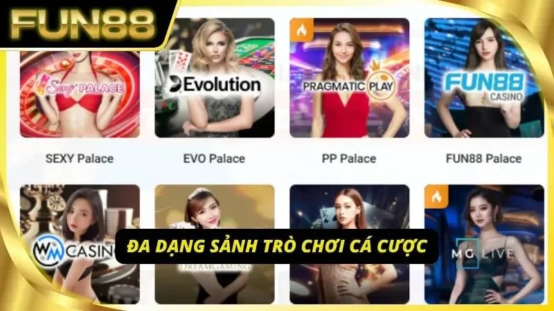 Sự phân hóa phòng cược đa dạng ở nhà cái