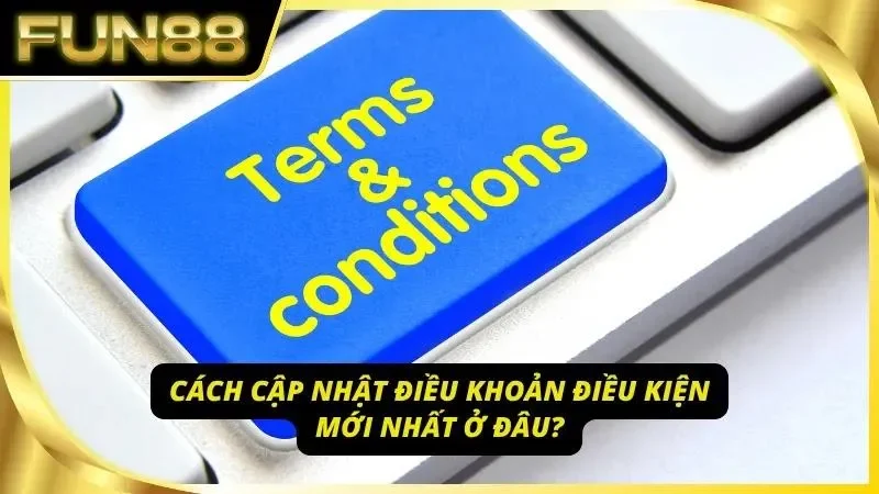 Người dùng nên kiểm tra mục chính sách theo định kỳ