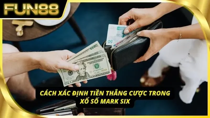 Cách xác định mức thưởng mà hội viên nhận được sau khi trúng giải